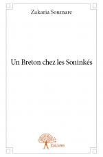 Un Breton chez les Soninkés