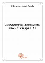 Un aperçu sur les investissements directs à l’étranger (IDE) 