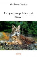 Le Lynx : un prédateur si discret
