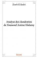 Analyse des clandestins de Youssouf Amine Elalamy