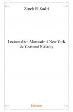 Lecture d'un Marocain à New York de Youssouf Elalamy