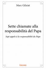 Sette chiamate alla responsabilità del Papa