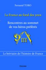 La France au fond des yeux-Tome III