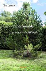 L’inestimable