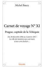 Carnet de voyage N° XI 