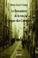Le Brocanteur de la rue Longue-des-Capucins 