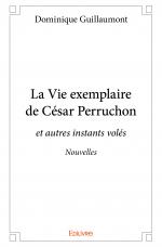 La Vie exemplaire de César Perruchon