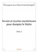 Secrets et recettes mystérieuses pour dompter le Malin - Tome 2