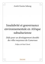 Insalubrité et gouvernance environnementale en Afrique subsaharienne