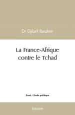 La France-Afrique contre le Tchad