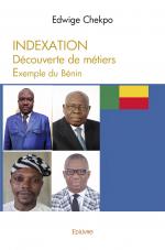 INDEXATION : Découverte de métiers, Exemple du Bénin