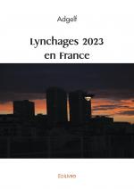 Lynchages 2023 en France