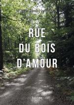 Rue du bois d'amour