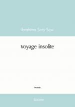 Voyage insolite
