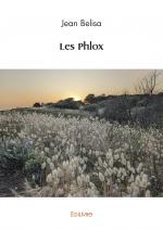 Les Phlox