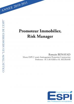 Promoteur Immobilier, Risk Manager.