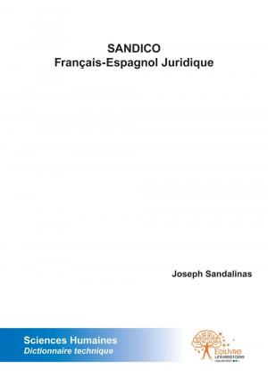 SANDICO Français-Espagnol Juridique