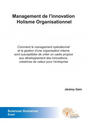 Management de l'innovation - Holisme Organisationnel