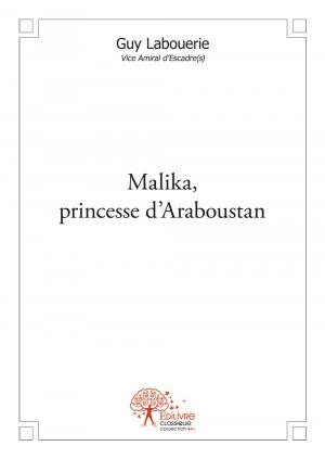 Malika, princesse d'Araboustan