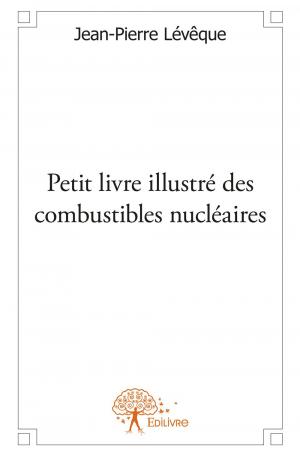 Petit livre illustré des combustibles nucléaires
