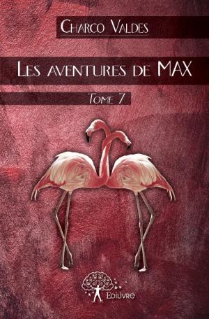 les aventures de MAX, tome 7