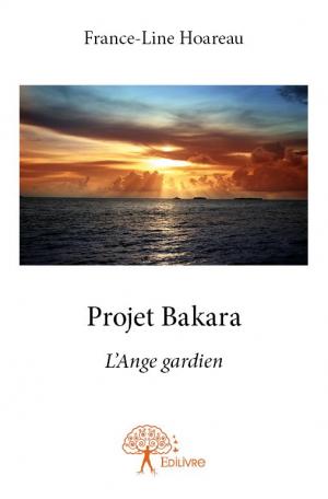 Projet Bakara 