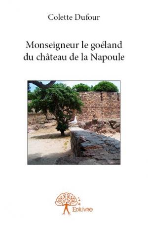 Monseigneur le goéland du château de la Napoule
