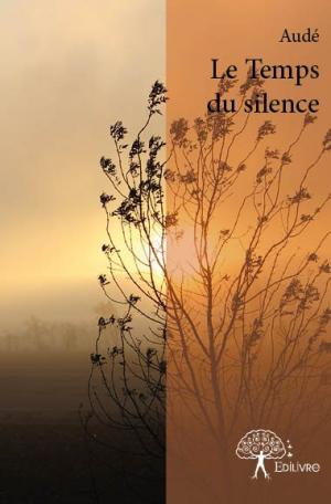 Le Temps du silence