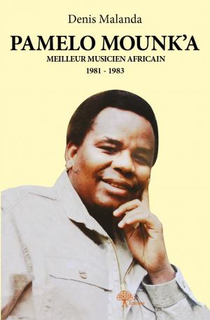 Pamelo Mounk'a meilleur musicien africain 1981 - 1983 