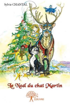 Le Noël du chat Martin