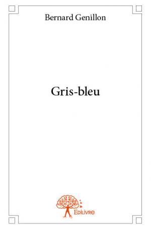 Gris-bleu