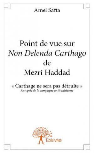 Point de vue sur <i>Non Delenda Carthago<i> de Mezri Haddad