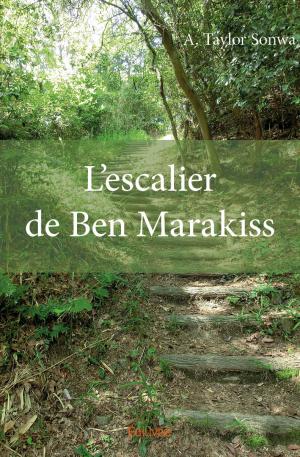 L’Escalier de Ben Marakiss