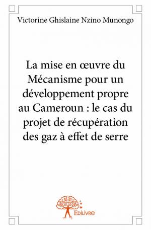 La mise en œuvre du Mécanisme pour un développement propre au Cameroun : le cas du projet de récupération des gaz à effet de serre