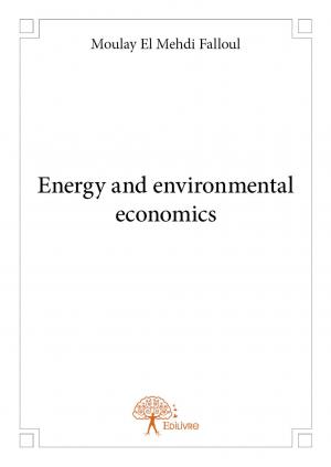 Energy and environmental economics