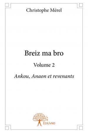 Breiz ma bro - Volume 2 