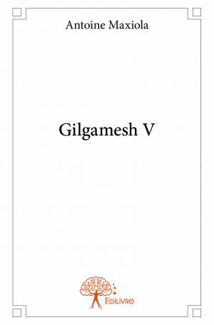 Gilgamesh V