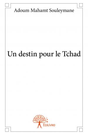 Un destin pour le Tchad