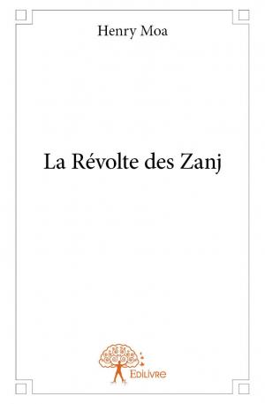 La Révolte des Zanj