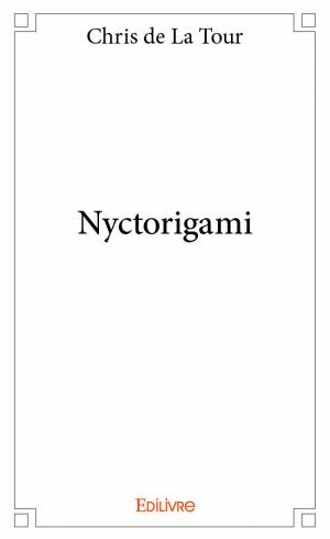 Nyctorigami