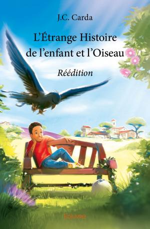 L’Étrange Histoire de l’enfant et l’Oiseau - Réédition