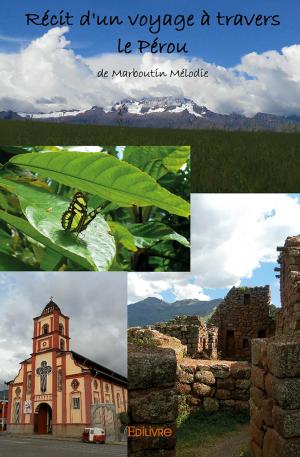 Récit d'un voyage à travers le Pérou