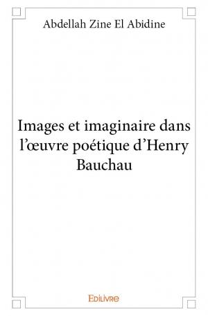 Images et imaginaire dans l'œuvre poétique d'Henry Bauchau