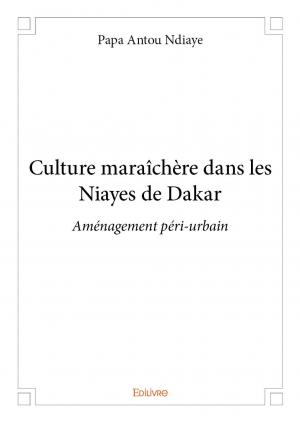 Culture maraîchere dans les Niayes de Dakar