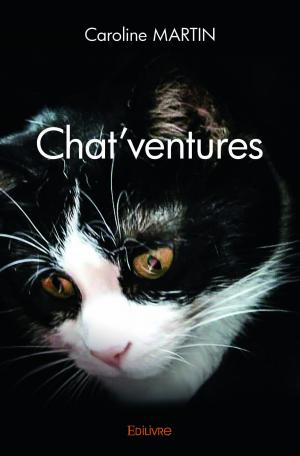 Chat'ventures