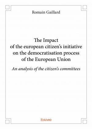 The Impact of the european citizen's initiative on the democratisation process of the European Union 