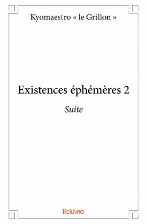 Existences éphémères 2