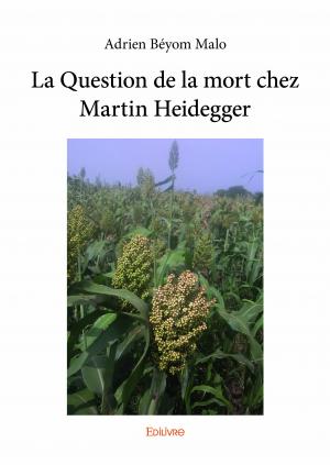 La Question de la mort chez Martin Heidegger