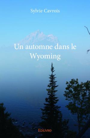 Un automne dans le Wyoming
