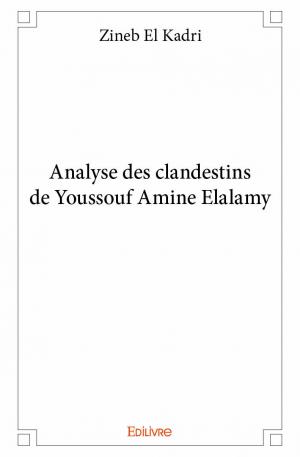 Analyse des clandestins de Youssouf Amine Elalamy